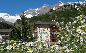 Hotel Adler